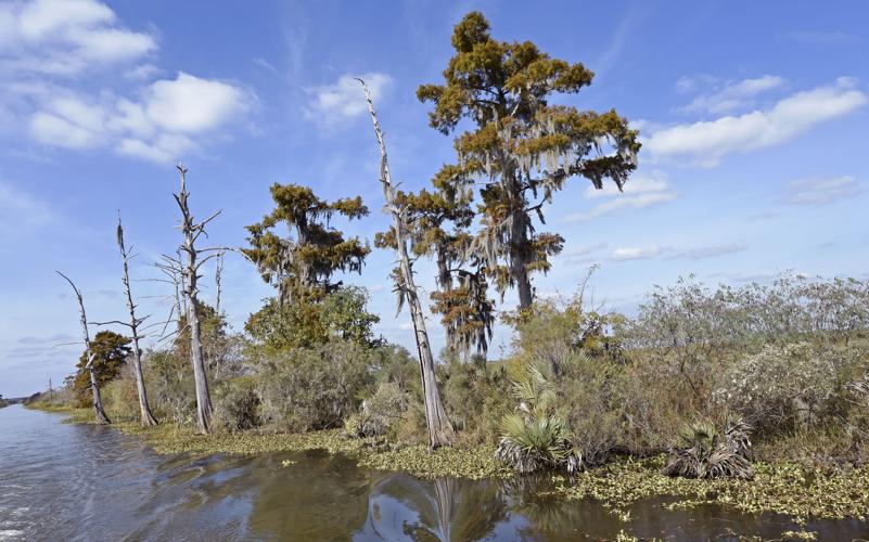 BR.restoration0334.111617 bf (copy)