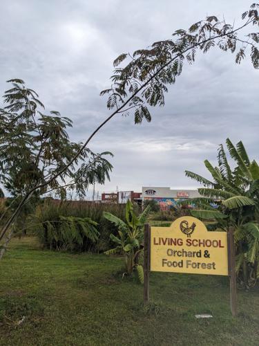 living school