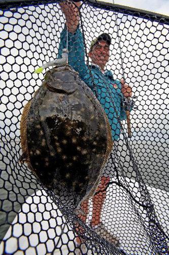 flounder-net.jpg