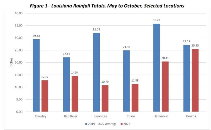 rainfall totals
